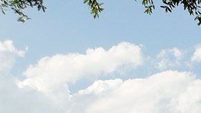 La demanda solicita un pago retroactivo, la recuperación de beneficios perdidos y otros tipos de compensaciones económicas.