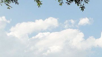 La demanda solicita un pago retroactivo, la recuperación de beneficios perdidos y otros tipos de compensaciones económicas.