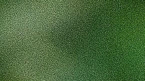 El jaguar está en peligro de extinción.