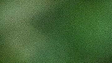 El jaguar está en peligro de extinción.