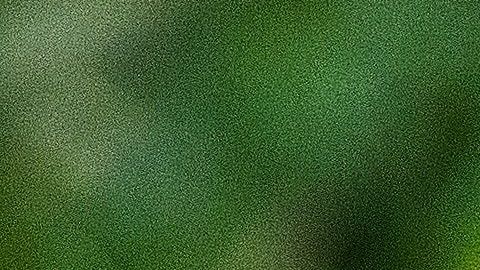 El jaguar está en peligro de extinción.