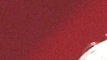 AMLO dijo que no quiere "ningún tipo de fricción o confrontación" con EEUU.