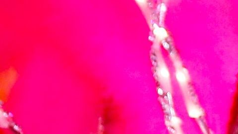 Ashley Benson y  Cara Delevingne