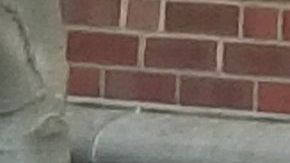 Los republicanos compartieron la foto de Yarmuth con la figura de cartón de AOC.