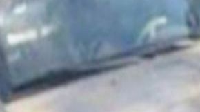 16 detenidos, 1 muerto y armas confiscadas al CJNG