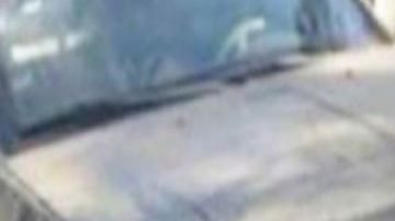 16 detenidos, 1 muerto y armas confiscadas al CJNG