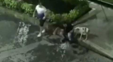 El hecho se reportó en Sabaneta, Colombia.