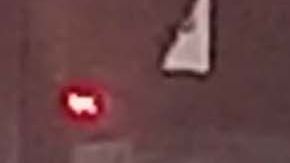 En el incidente, reportado en Jackson Heights, no hubo heridos.