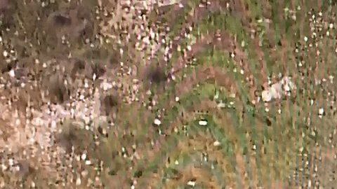 La avioneta cayó en un rancho cercano.