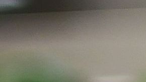 El aguacate de Michoacán atrae la codicia de los narcos.