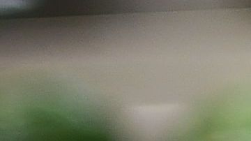 El aguacate de Michoacán atrae la codicia de los narcos.