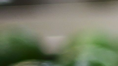 El aguacate de Michoacán atrae la codicia de los narcos.