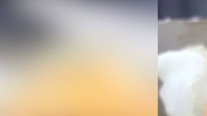 El animalito fue detectado antes de que le dieran una mordida.