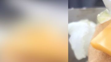 El animalito fue detectado antes de que le dieran una mordida.