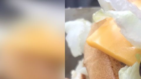 El animalito fue detectado antes de que le dieran una mordida.