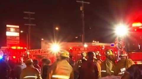 Los motivos de la estampida se desconocen.