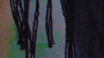 Los hijos biológicos de su esposo resultaron ser 47.