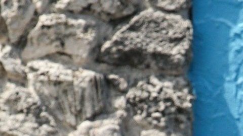 Captan a Jennifer López cuando sale a buscar la nueva mascota de sus hijos.