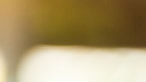 Y si tu celular tiene protector o funda de plástico ,el número de bacterias se triplica.