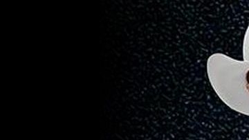 El grupo Bronco en serios problemas