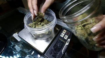 10 estados han regulado la venta y el consumo de marihuana.