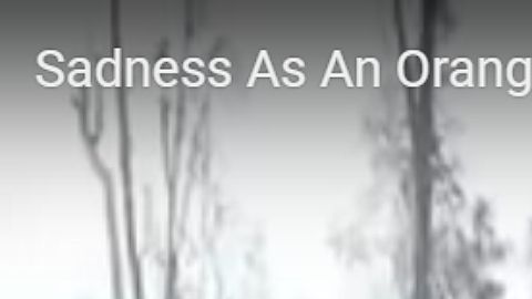 Un orangután trata de impedir que continúen derribando su habitat.