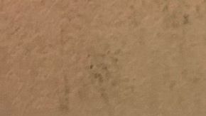 El casino ilegal operaba en la Avenida Garey en Pomona, California.