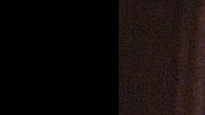 El líder sindical estadounidense César Chávez (1927 - 1993) en una foto capturada en la década de 1950.