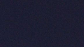 Dakota Johnson y Chris Martin