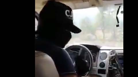 El video circula en redes como Twitter.