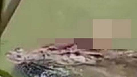 Video muestra al reptil con el cadáver en sus mandíbulas.