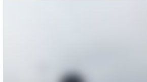 Por fortuna, los policías lograron impedir la acción.