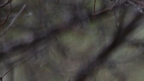 Memorial de las víctimas de la masacre de  Columbine en Littleton, Colorado.