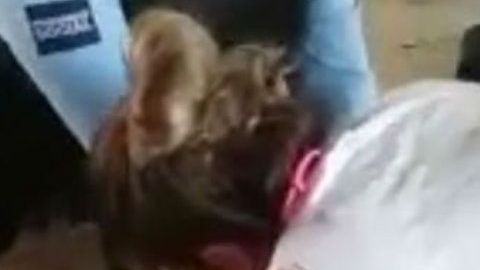 Comando asesina a turista californiano en Acapulco