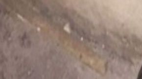 Encuentran cabeza humana en bolsa