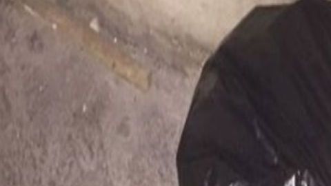 Encuentran cabeza humana en bolsa