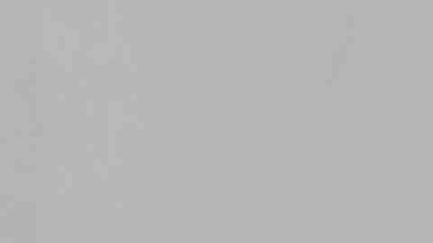 Copa La Raza y Chitown Futbol premiaron a los campeones del torneo invierno-primavera 2019. (Javier Quiroz / La Raza)