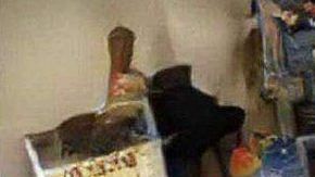 ¿Qué alcanzas a distinguir en esta foto?