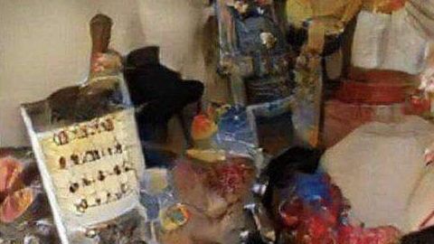 ¿Qué alcanzas a distinguir en esta foto?