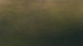 El pequeño tomó su mochila para viajar.