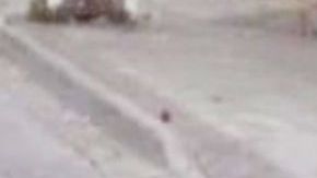 Aparecen varios muertos en Guanajuato