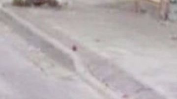 Aparecen varios muertos en Guanajuato