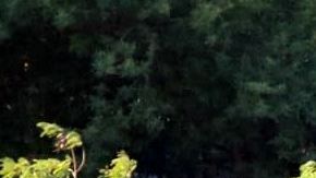 La extremidades sobresalían de la bolsa.