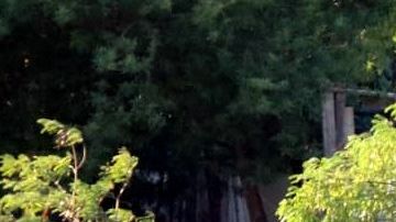 La extremidades sobresalían de la bolsa.