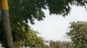 Detienen a 2 del CJNG en Veracruz