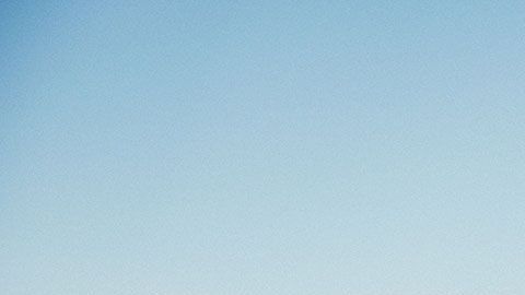 Muchas empresas tienen muy buenas promociones que ayudan a la Tierra y a tu economía.