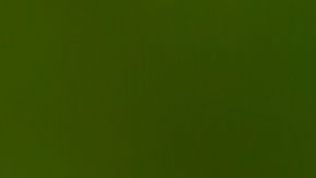 Celebra el Día de la Tierra participando en actividades de protección al medio ambiente,