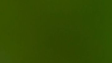 Celebra el Día de la Tierra participando en actividades de protección al medio ambiente,