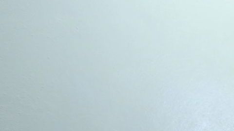 Miguel Herrera, técnico de las Águilas del América