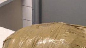 Así encuentra a su perro al recogerlo de la residencia canina.